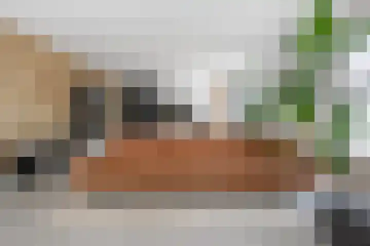 De Genestetlaan 9 Driehuis NH thumbnail 9