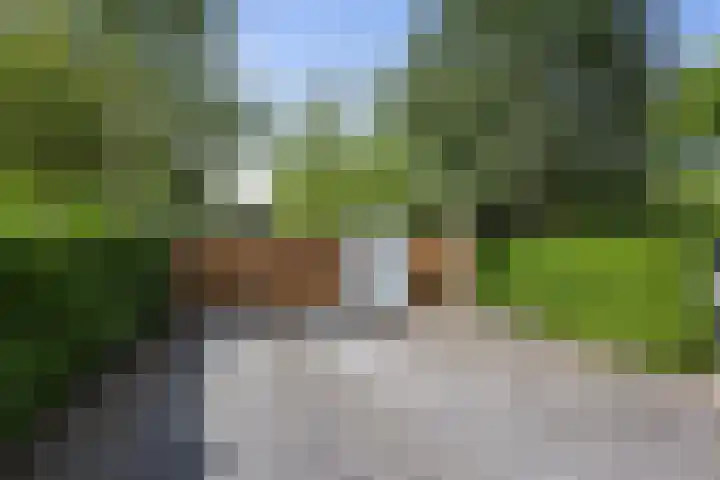 De Genestetlaan 9 Driehuis NH thumbnail 90