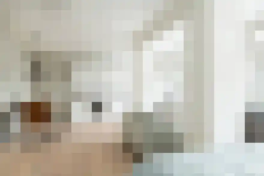 de Genestetlaan Eindhoven thumbnail 4