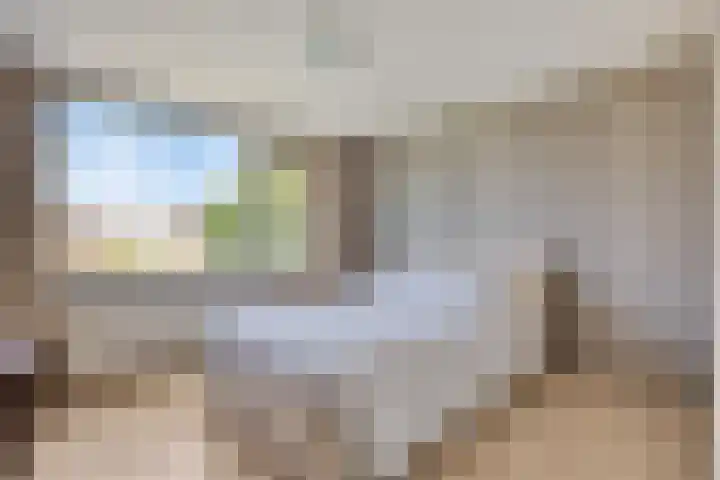 de Genestetplantsoen 20 Hulst thumbnail 12