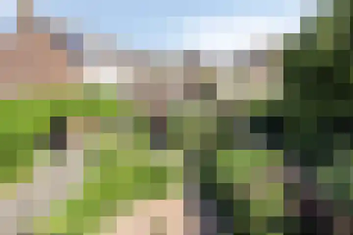 de Genestetplantsoen 20 Hulst thumbnail 14