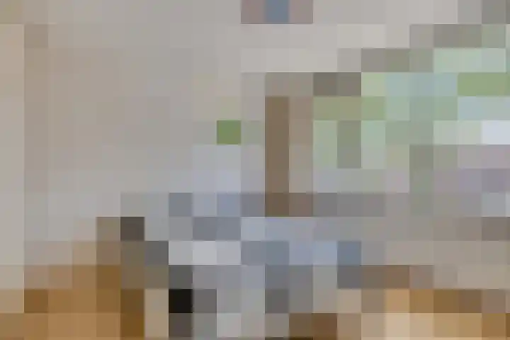 de Genestetplantsoen 20 Hulst thumbnail 17