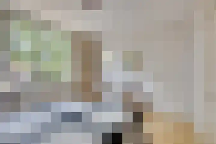 de Genestetplantsoen 20 Hulst thumbnail 18