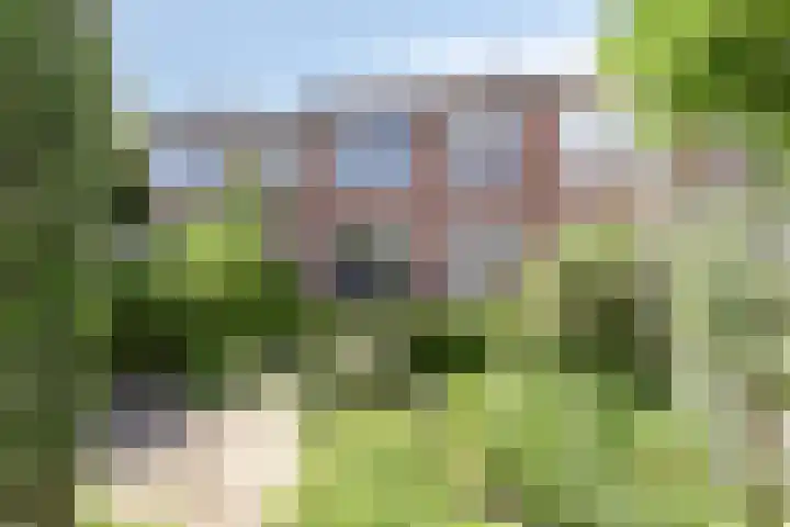 de Genestetplantsoen 20 Hulst thumbnail 21