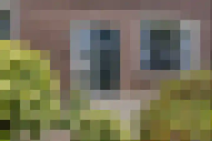 de Genestetplantsoen 20 Hulst thumbnail 23