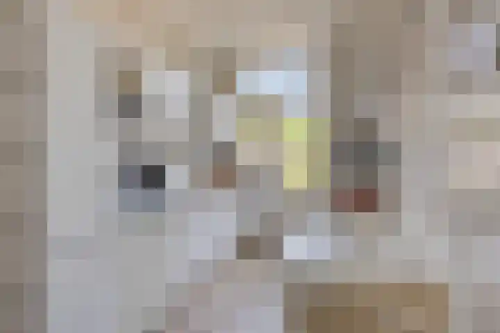 de Genestetplantsoen 20 Hulst thumbnail 4