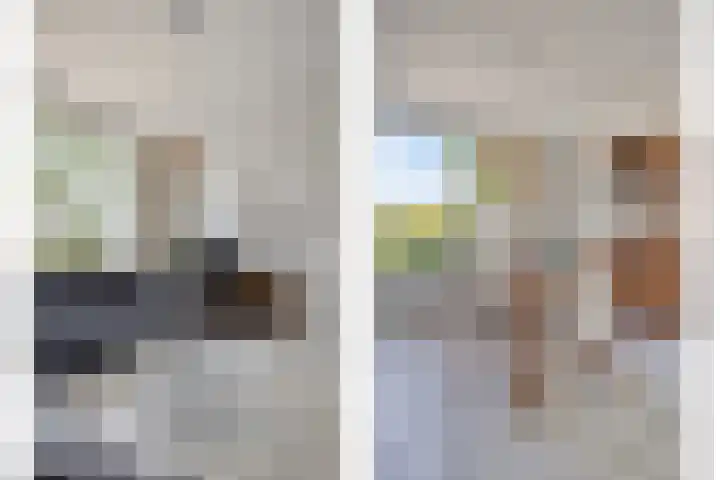 de Genestetplantsoen 20 Hulst thumbnail 7