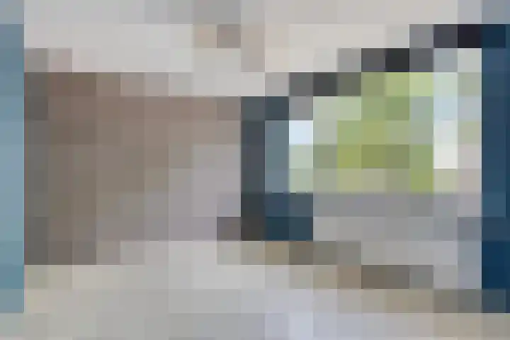 de Genestetplantsoen 9 Hulst thumbnail 16