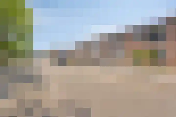 de Genestetplantsoen 9 Hulst thumbnail 22