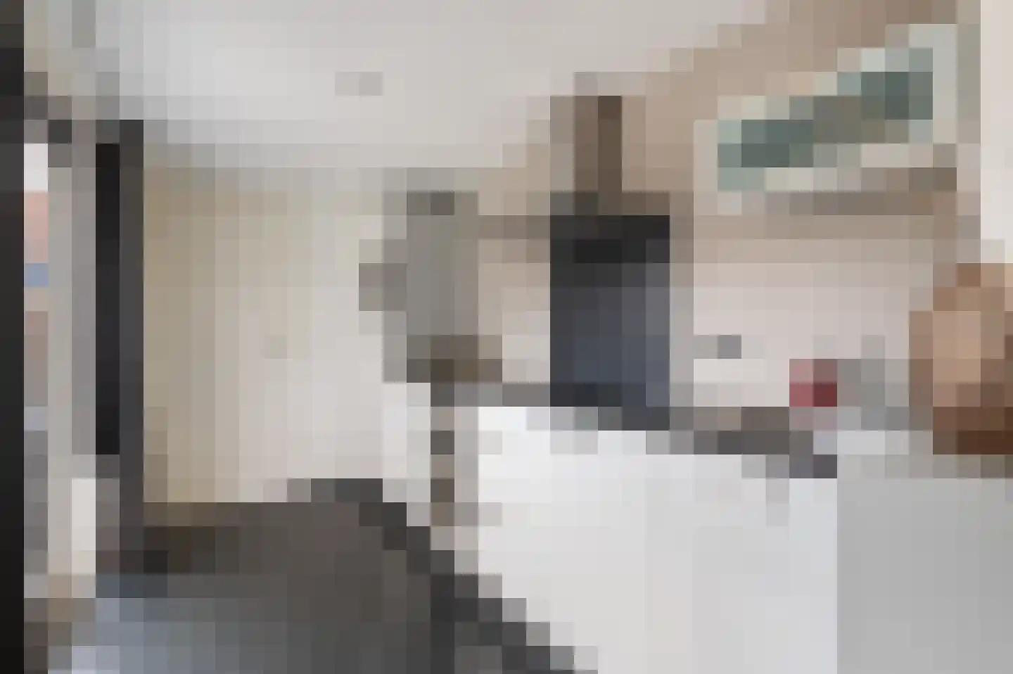 De Genestetplein 4 Zutphen thumbnail 17