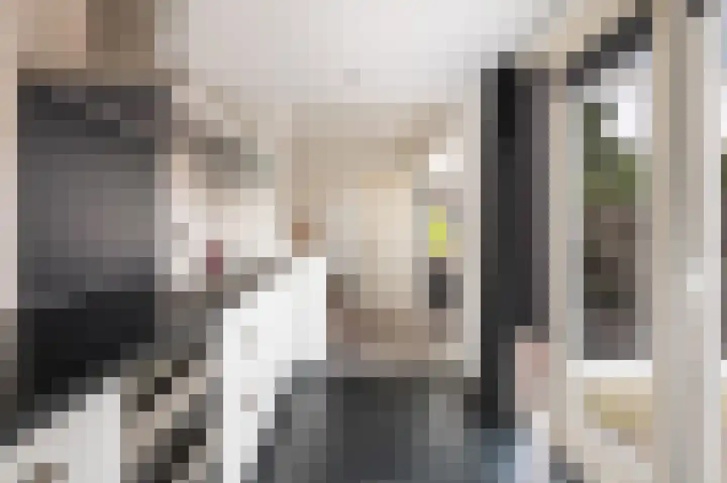 De Genestetplein 4 Zutphen thumbnail 18