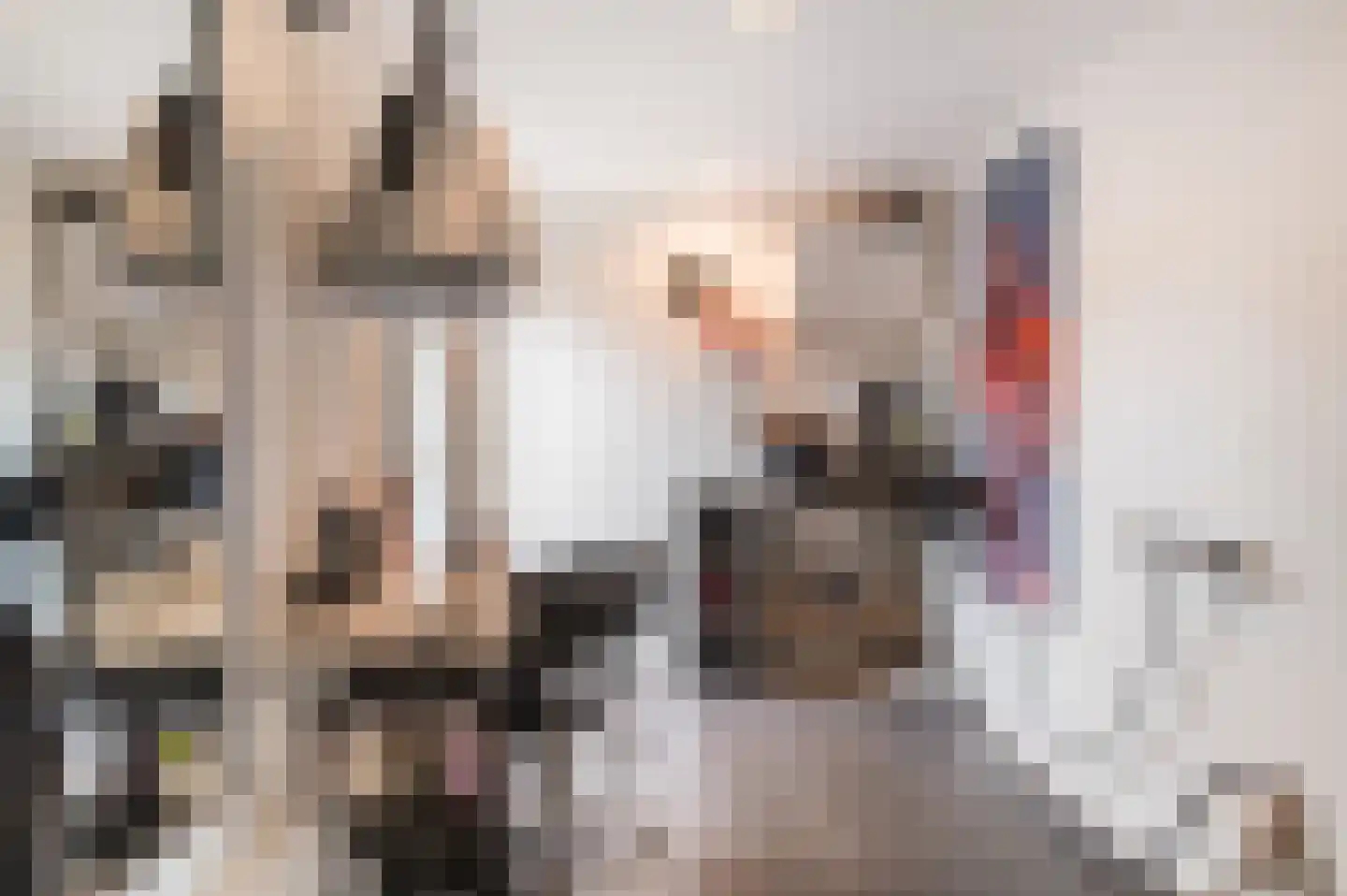 De Genestetplein 4 Zutphen thumbnail 19