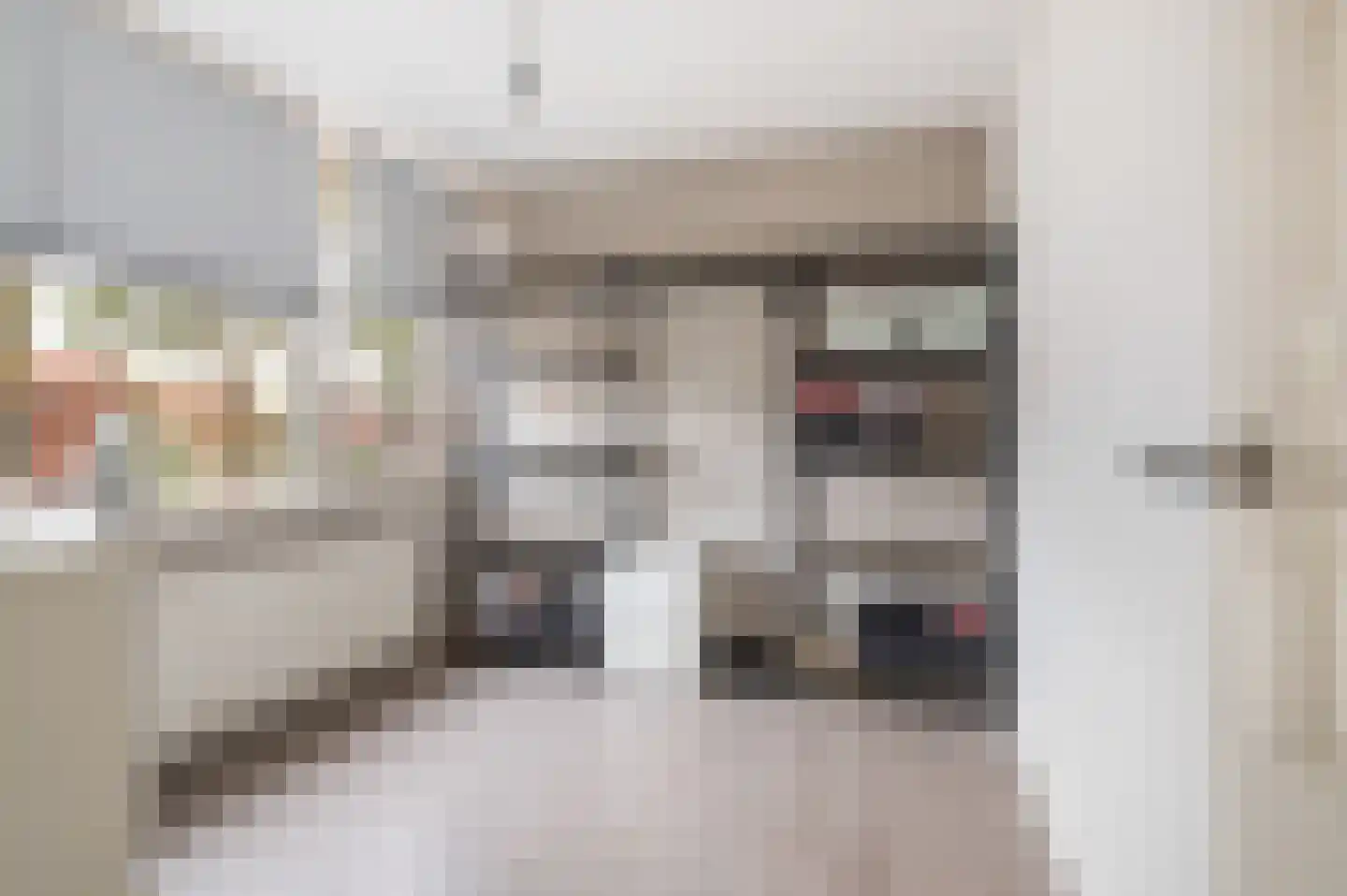 De Genestetplein 4 Zutphen thumbnail 31