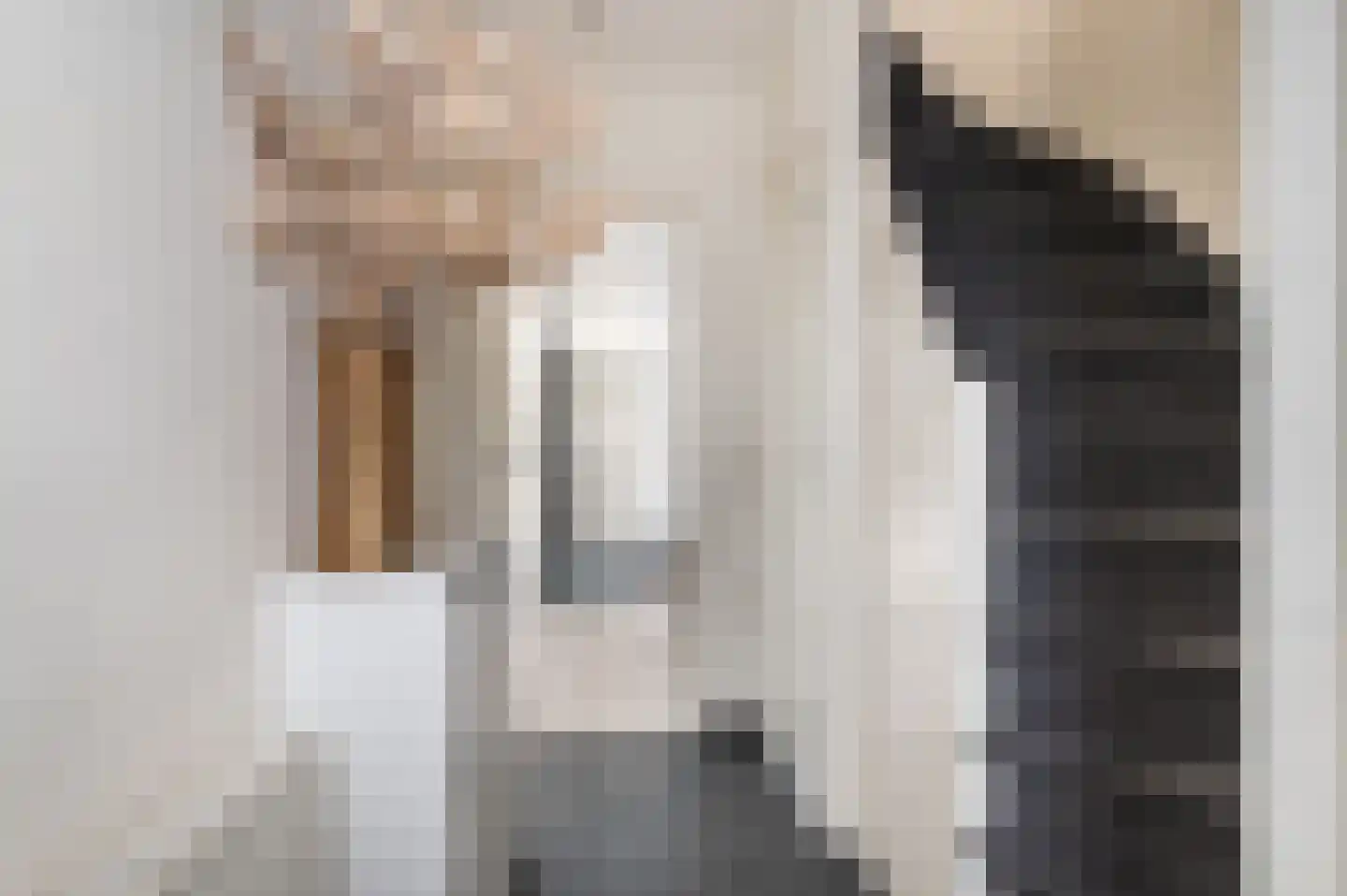 De Genestetplein 4 Zutphen thumbnail 9