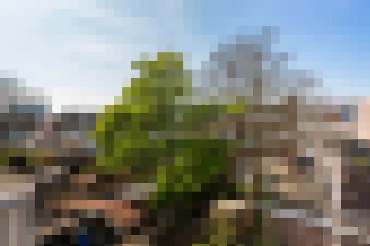 De Genestetstraat 1 B Schiedam thumbnail 41