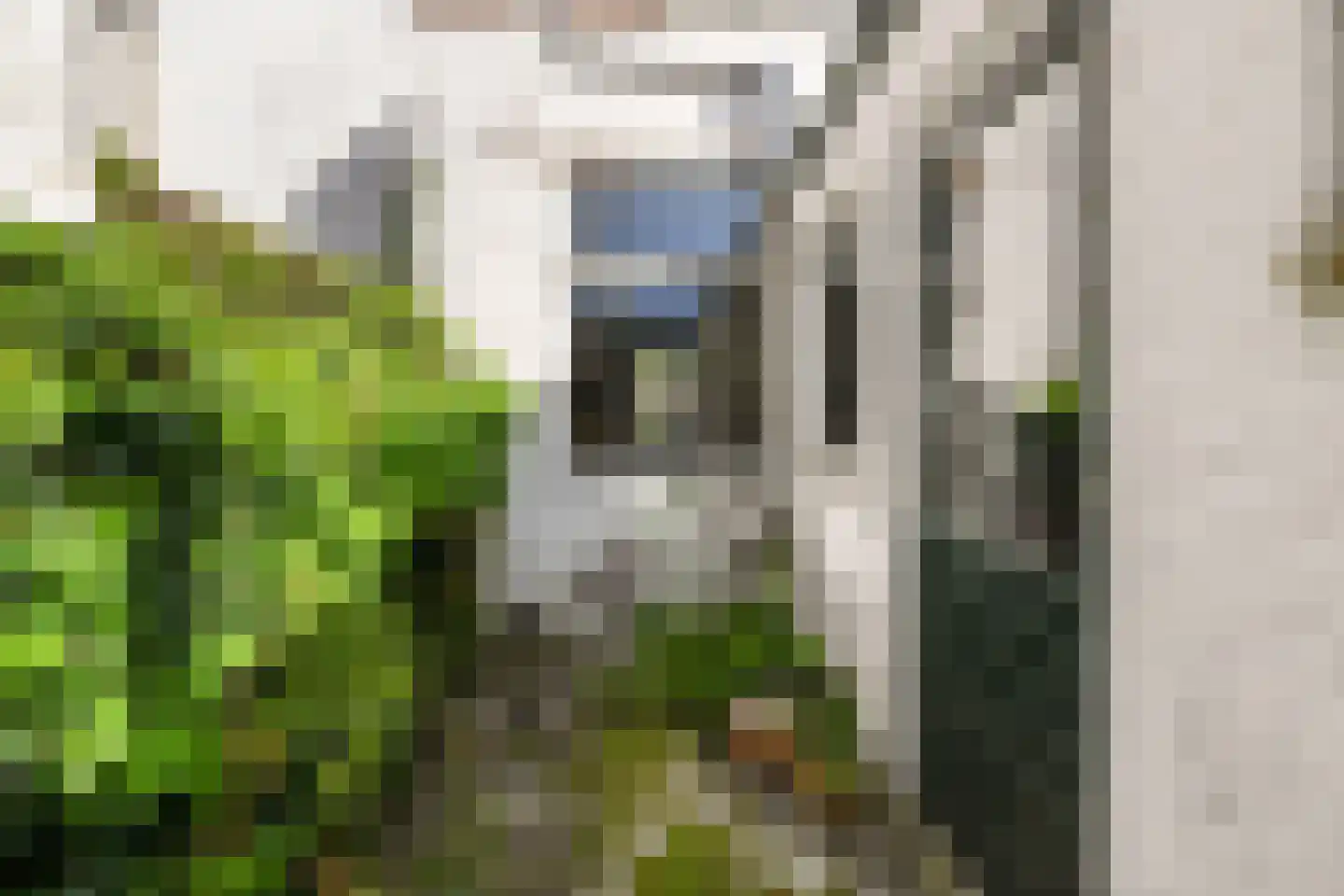 De Genestetstraat 1 Delft thumbnail 15