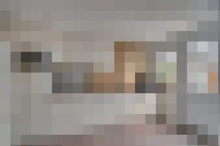 de Genestetstraat 10 Venlo thumbnail 9