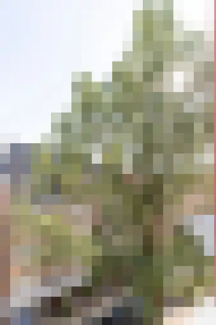 De Genestetstraat 12 4 Amsterdam thumbnail 17