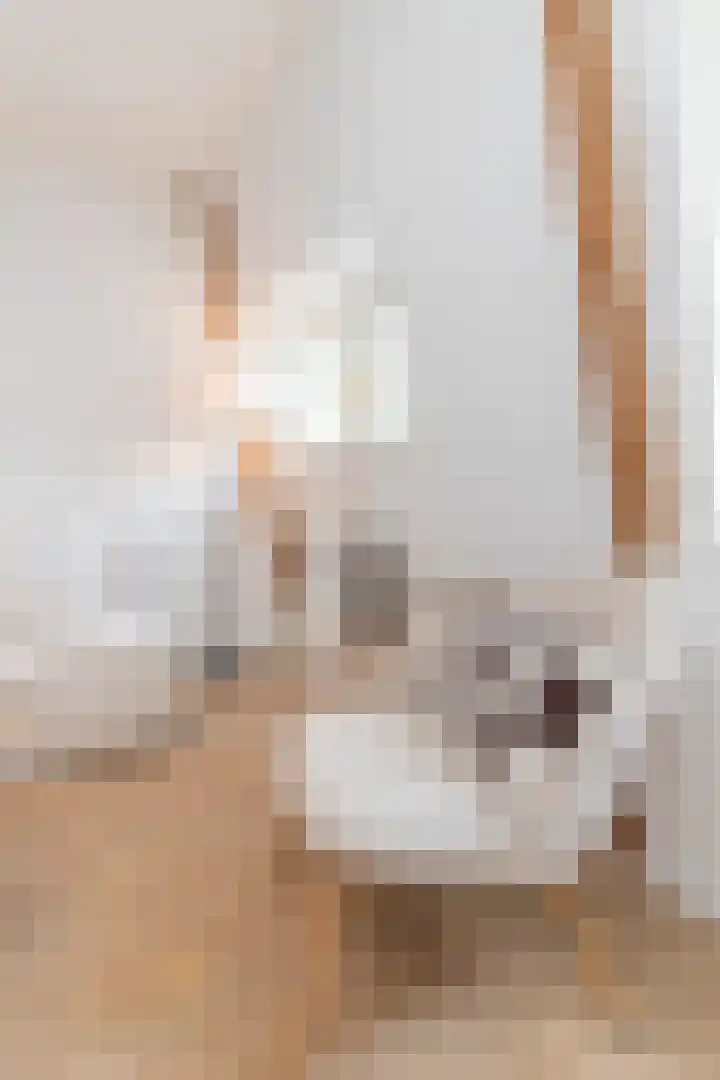 De Genestetstraat 12 4 Amsterdam thumbnail 18