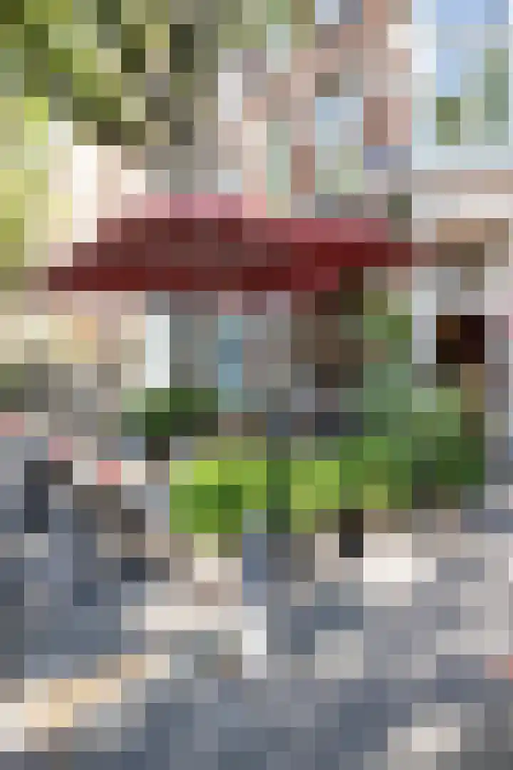 De Genestetstraat 12 4 Amsterdam thumbnail 35