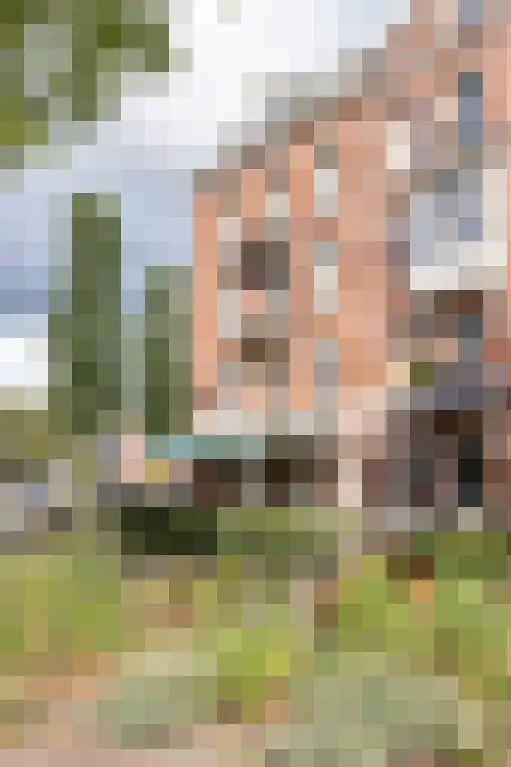 De Genestetstraat 12 4 Amsterdam thumbnail 37