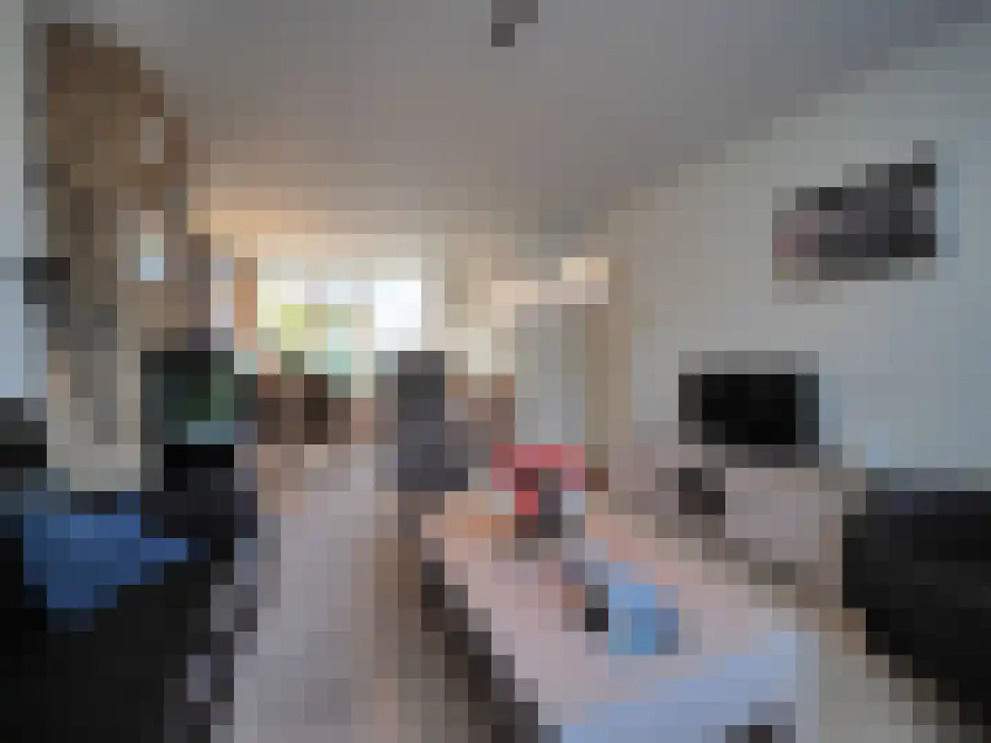 De Génestetstraat 12 Papendrecht thumbnail 16