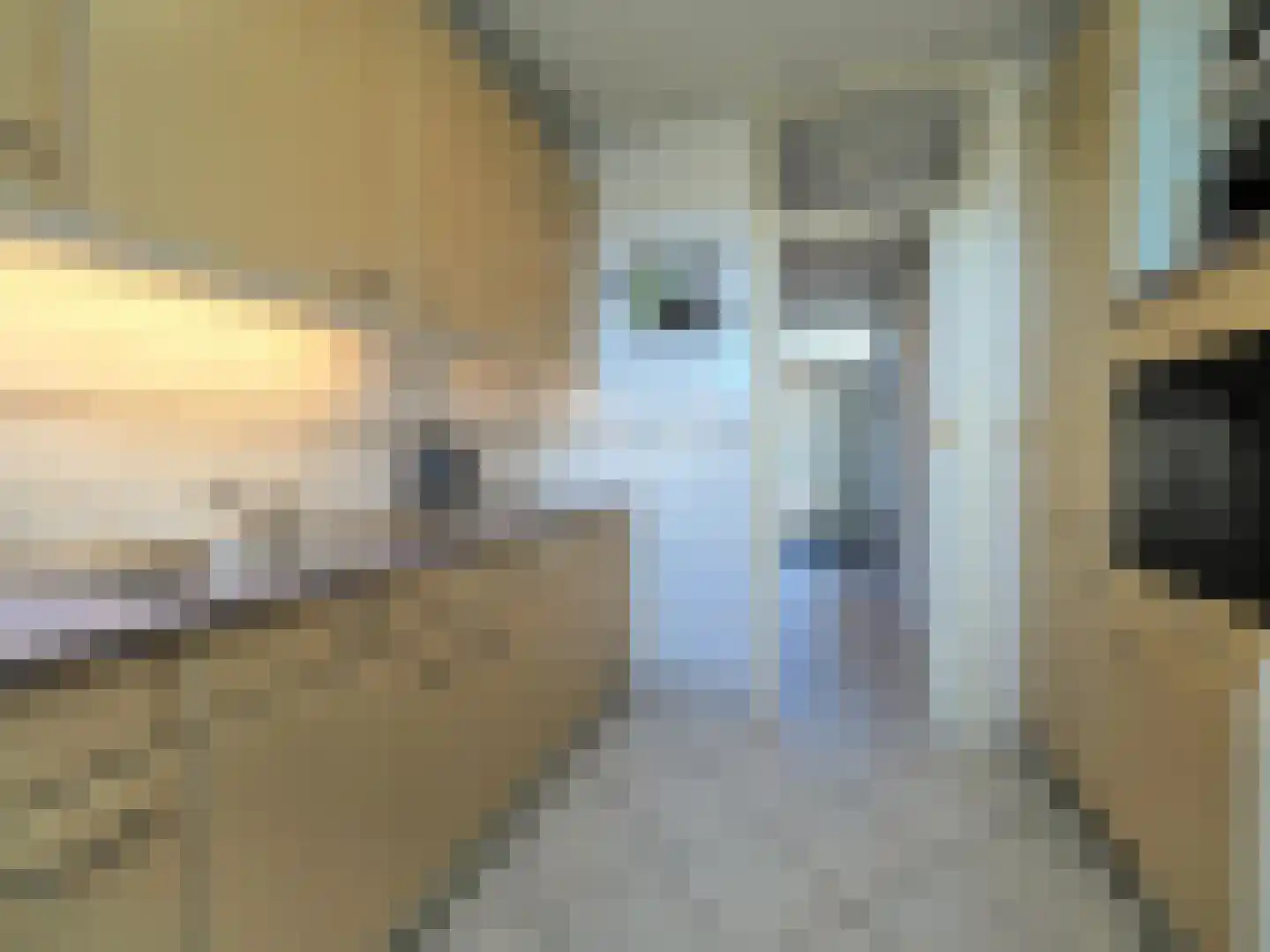 De Génestetstraat 12 Papendrecht thumbnail 21