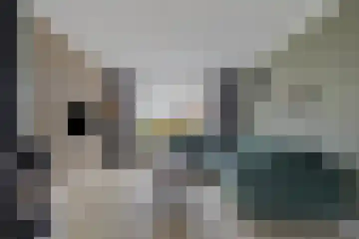 de Genestetstraat 12 Terneuzen thumbnail 10