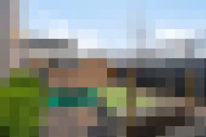 de Genestetstraat 12 Terneuzen thumbnail 28
