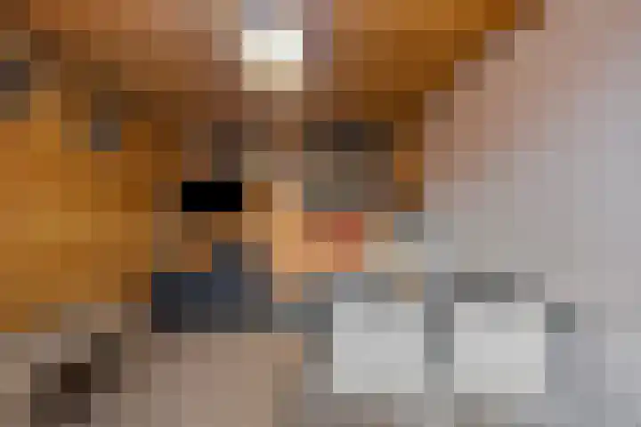 de Genestetstraat 12 Terneuzen thumbnail 30