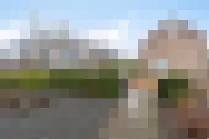 de Genestetstraat 12 Terneuzen thumbnail 8