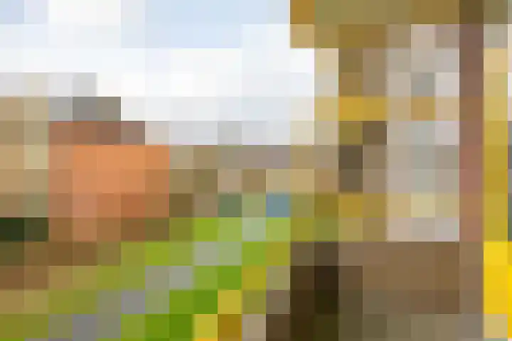 De Genestetstraat 13 Groningen thumbnail 20
