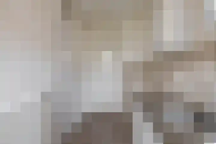 De Genestetstraat 13 Groningen thumbnail 23