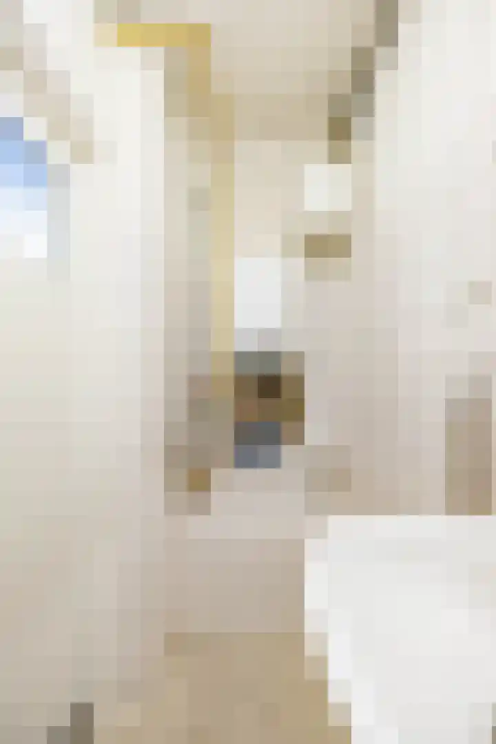 De Genestetstraat 13 Groningen thumbnail 31