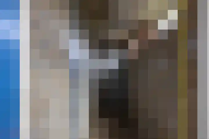 De Genestetstraat 13 Groningen thumbnail 32