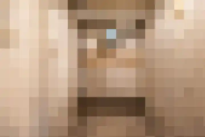 De Genestetstraat 13 Groningen thumbnail 33