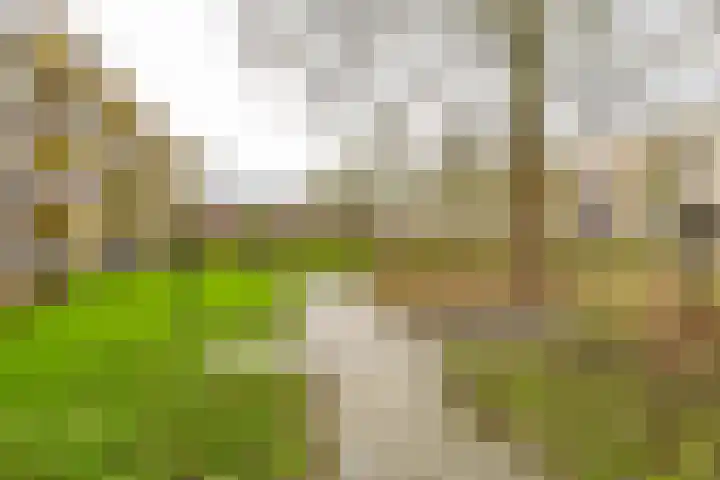 De Genestetstraat 13 Groningen thumbnail 34