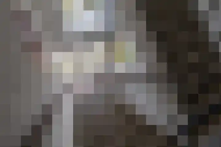 De Genestetstraat 13 Groningen thumbnail 7