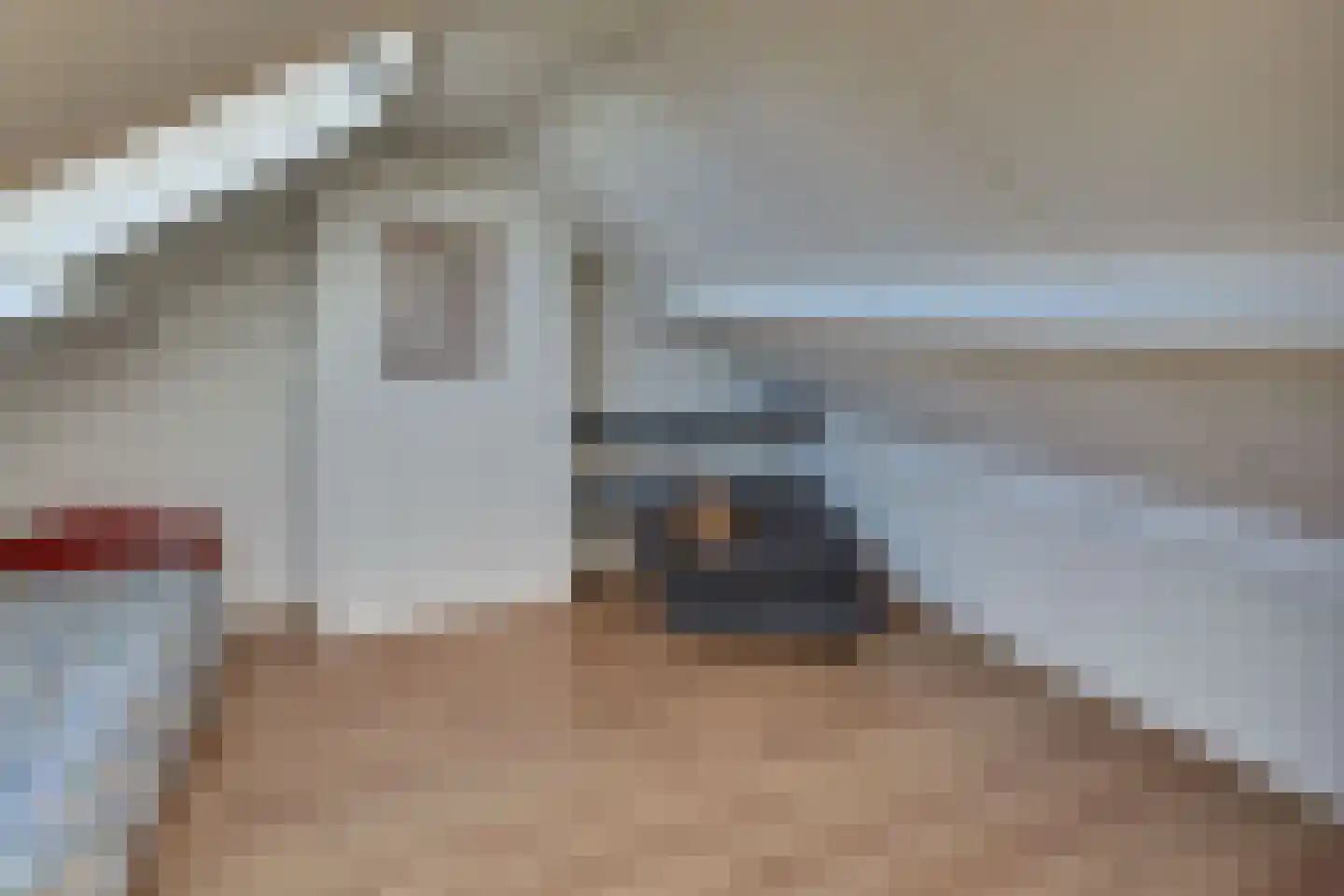 De Genestetstraat 13 Harderwijk thumbnail 36