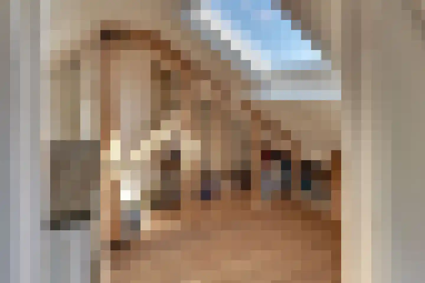 De Genestetstraat 13 Harderwijk thumbnail 38