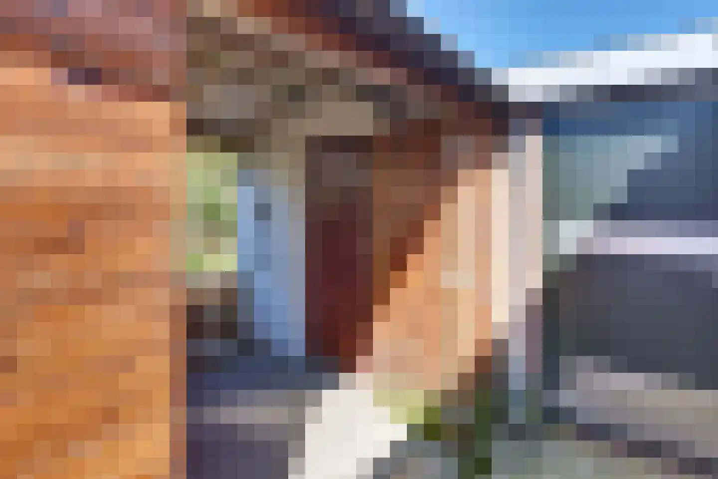 De Genestetstraat 13 Harderwijk thumbnail 45