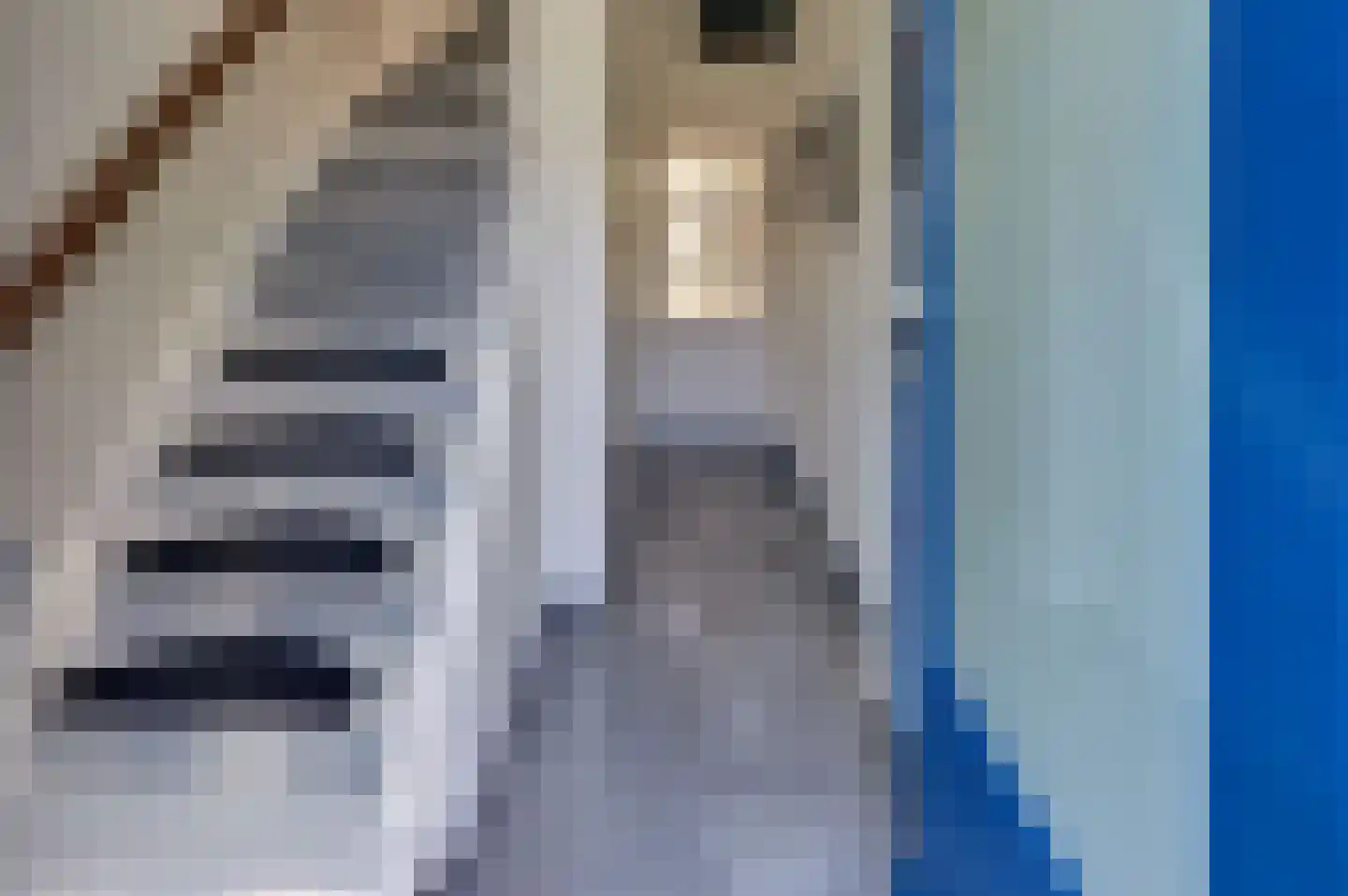 De Genestetstraat 13 Harderwijk thumbnail 6