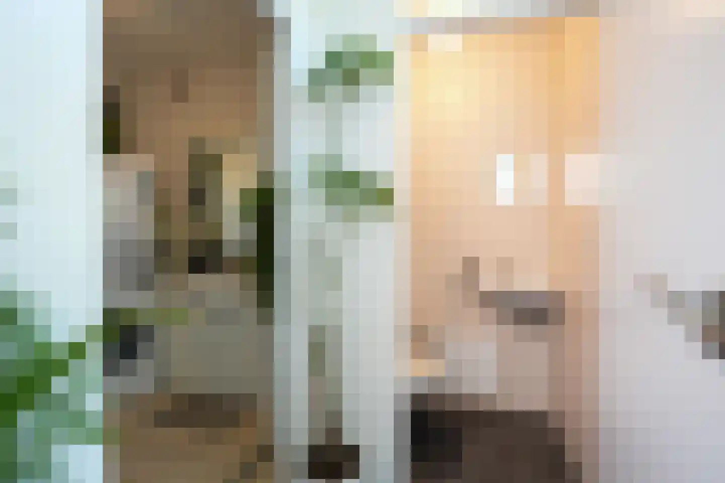 De Genestetstraat 14 Heerlen thumbnail 14