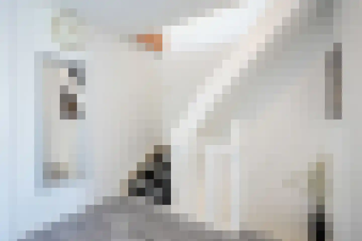 De Genestetstraat 14 Heerlen thumbnail 24