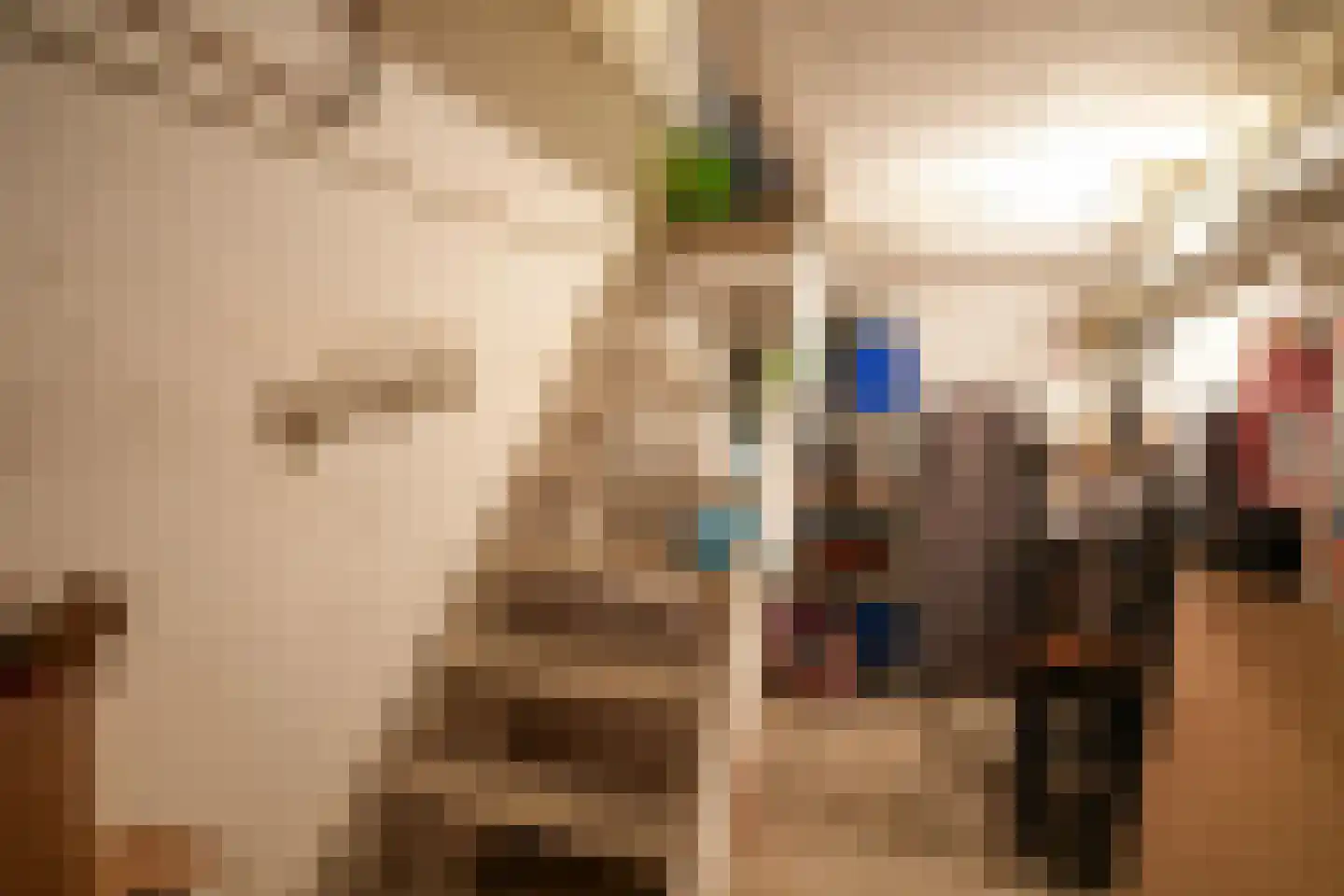 De Genestetstraat 14 Heerlen thumbnail 27