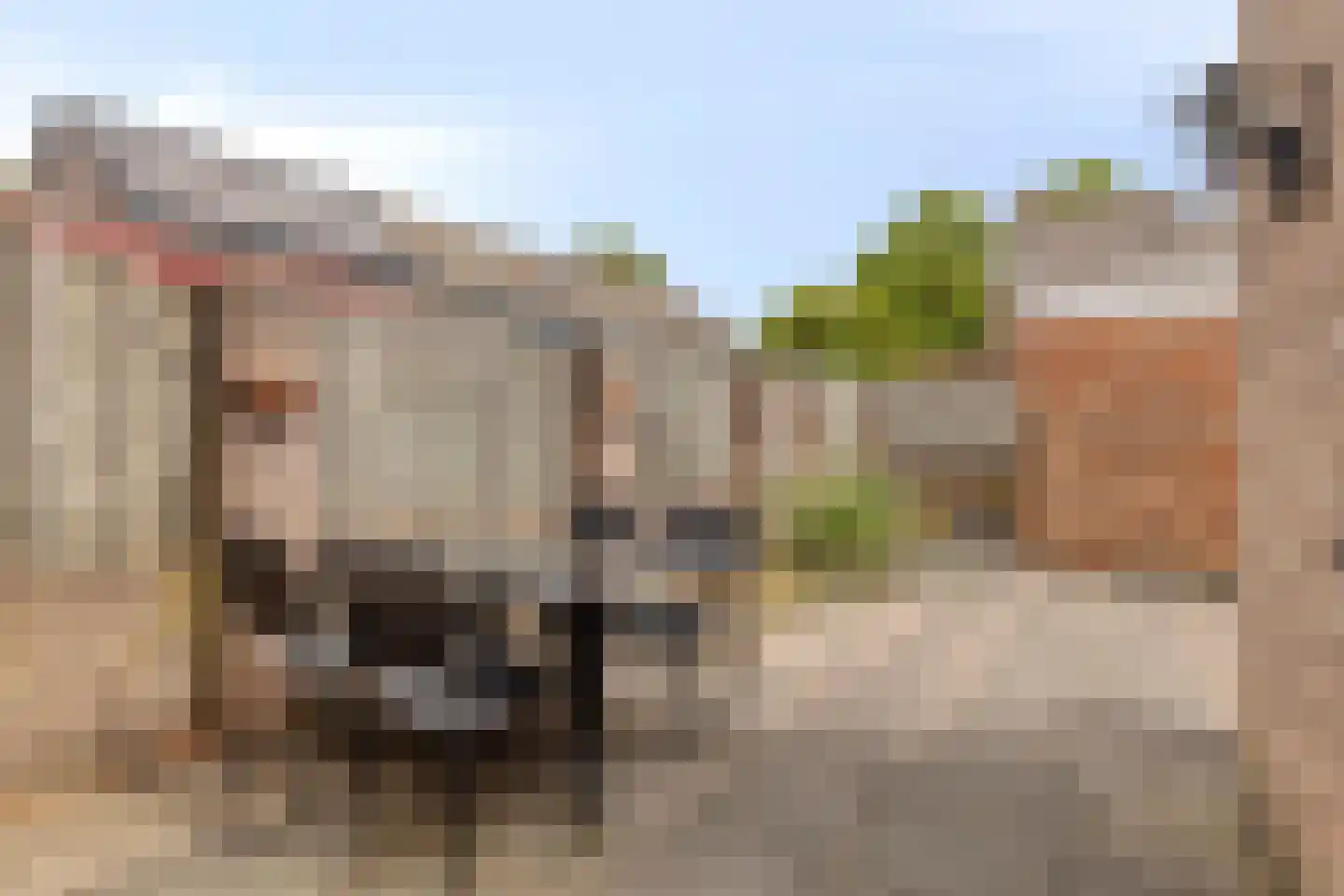 de Genestetstraat 14 Terneuzen thumbnail 22