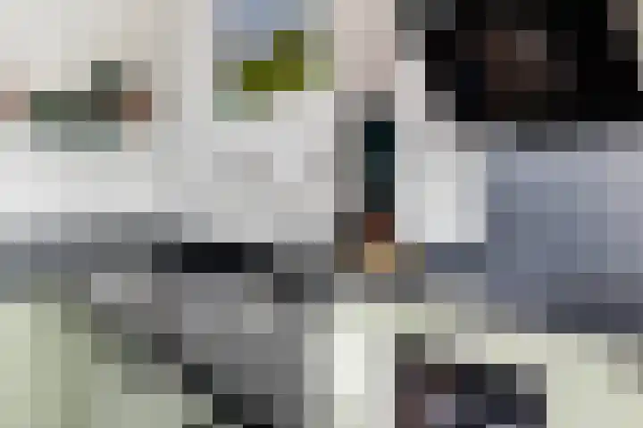De Genestetstraat 16 Capelle aan den IJssel thumbnail 25