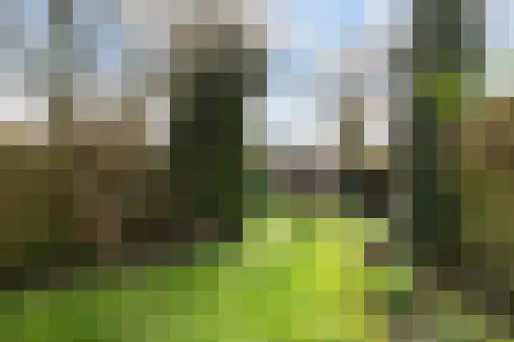 De Genestetstraat 16 Capelle aan den IJssel thumbnail 27