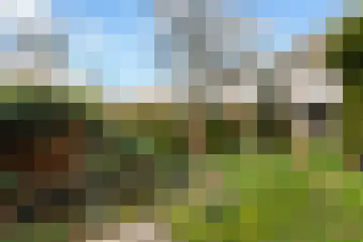 De Genestetstraat 16 Capelle aan den IJssel thumbnail 28
