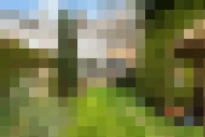 De Genestetstraat 16 Capelle aan den IJssel thumbnail 30